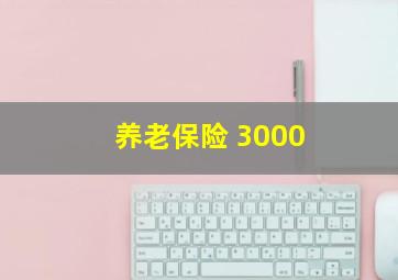 养老保险 3000